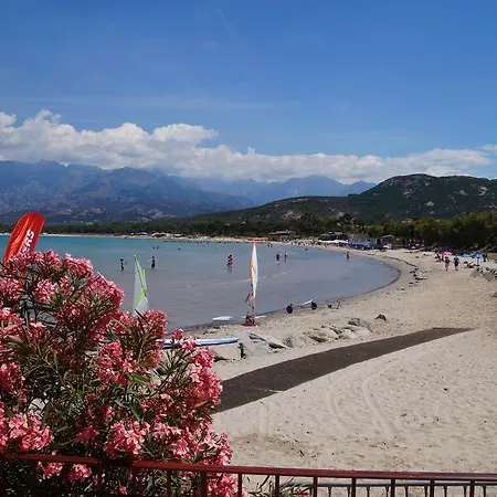 Les Castors Camping Calvi (Corsica)
